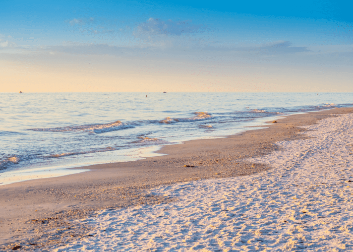 Golden-hour waves washing over the shelly sand of Venice Beach